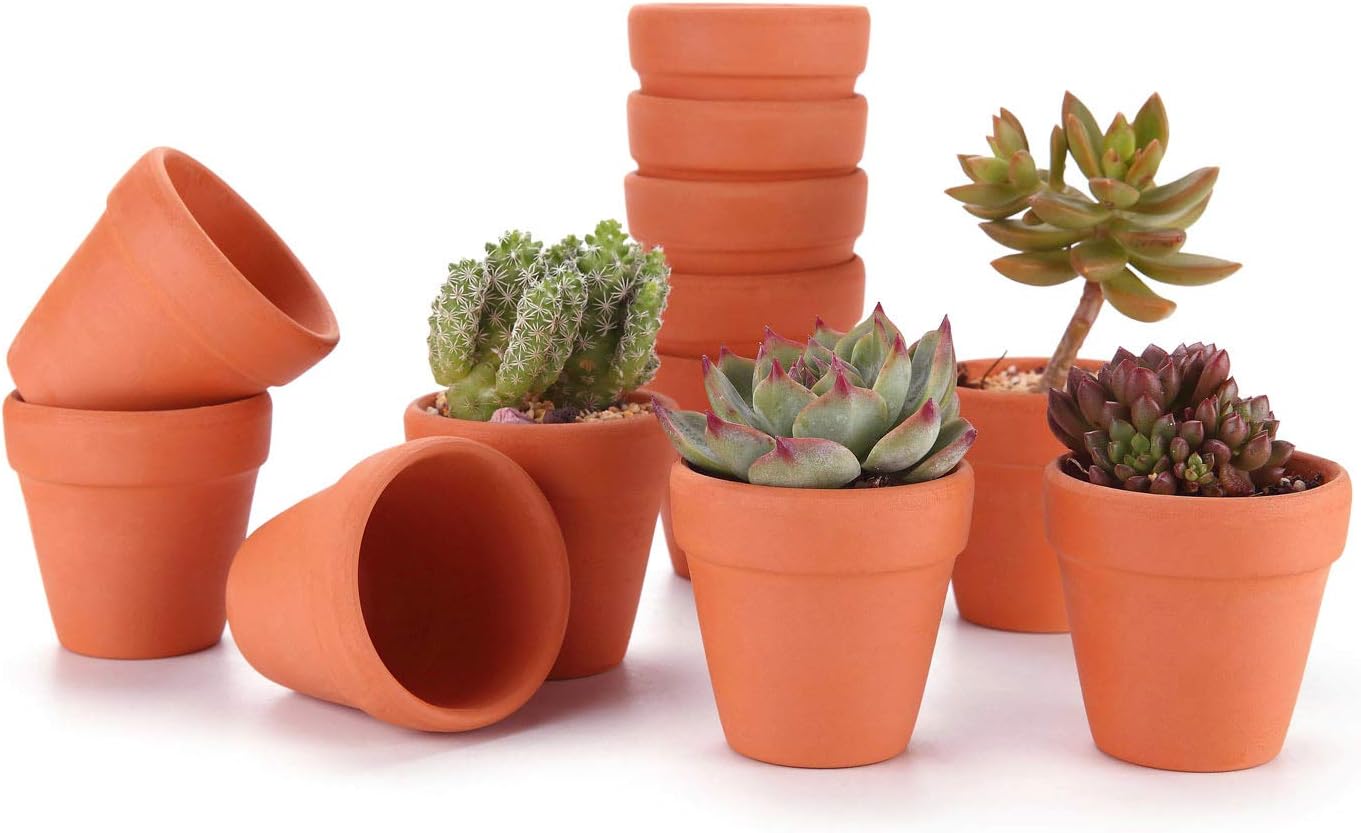 12 PCS Terracotta Clay Pots - Mini Craft Nursery Plant Pot Water Permeable Succulent Cactus Pottery Planter DIY Home Office Desktop Windowsill Ornament Decor Wedding
