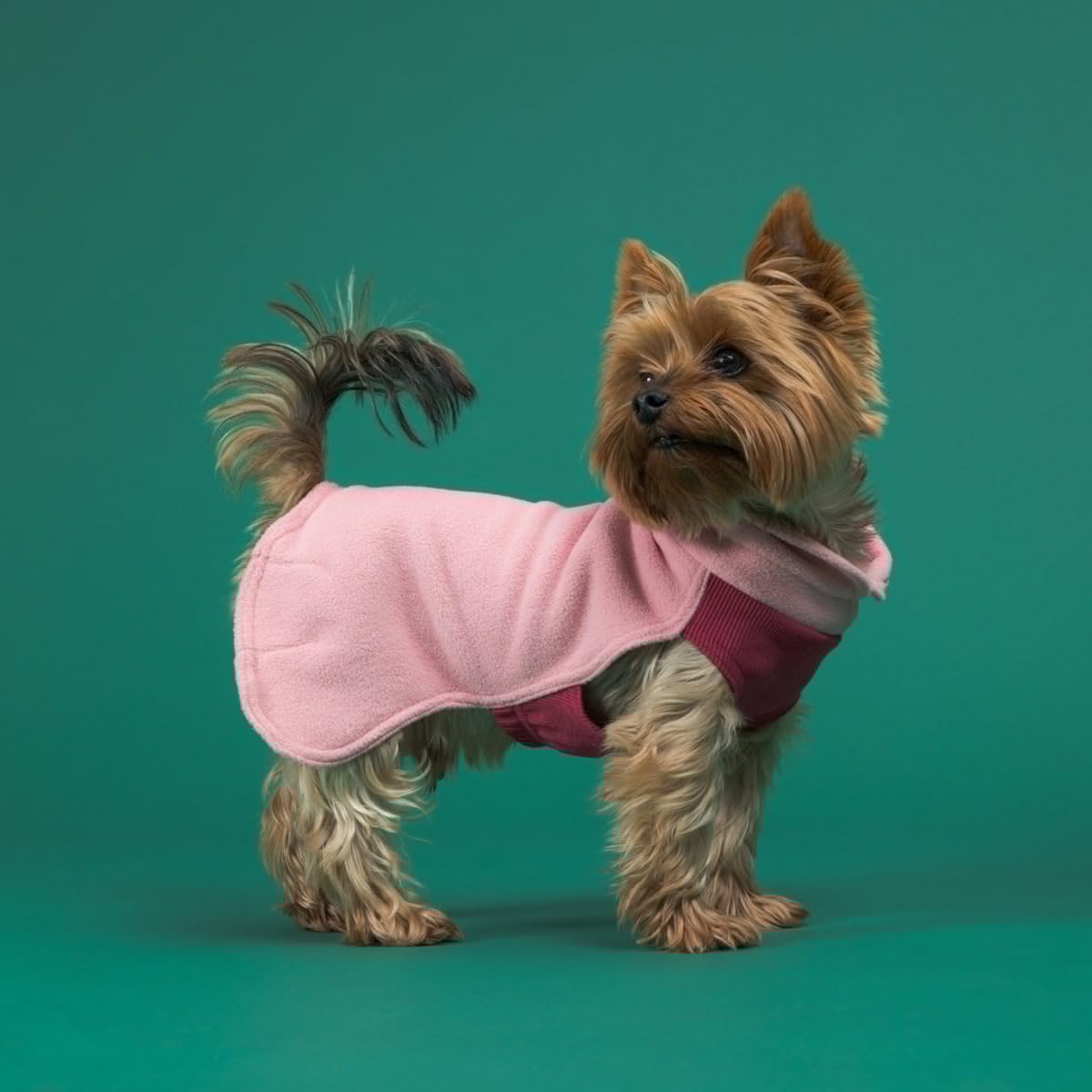 Hunde Pullover Seawool Shirt pink (Rückenlänge: 55 cm)