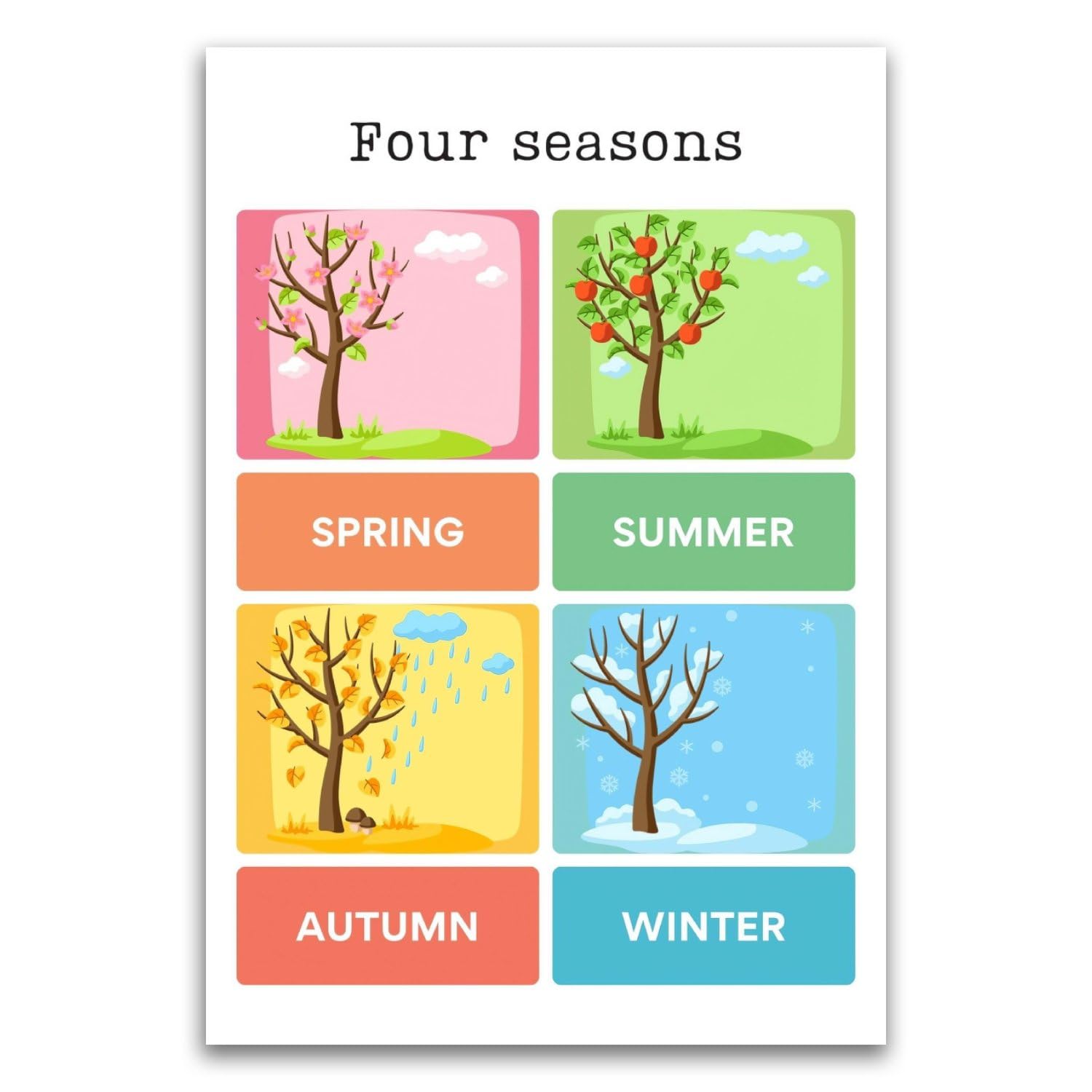 Amazon.com: Four Seasons Weather Poster - Classroom Poster For