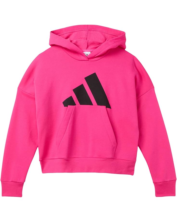 adidas Kids Essential Big Logo Fleece Hooded Pullover (Big Kid) - Main View