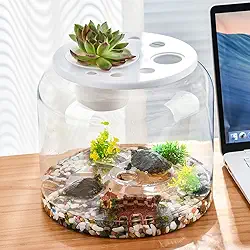 Tanque de tartaruga pequeno com planta decorativa e pedra, habitat de aquário para répteis