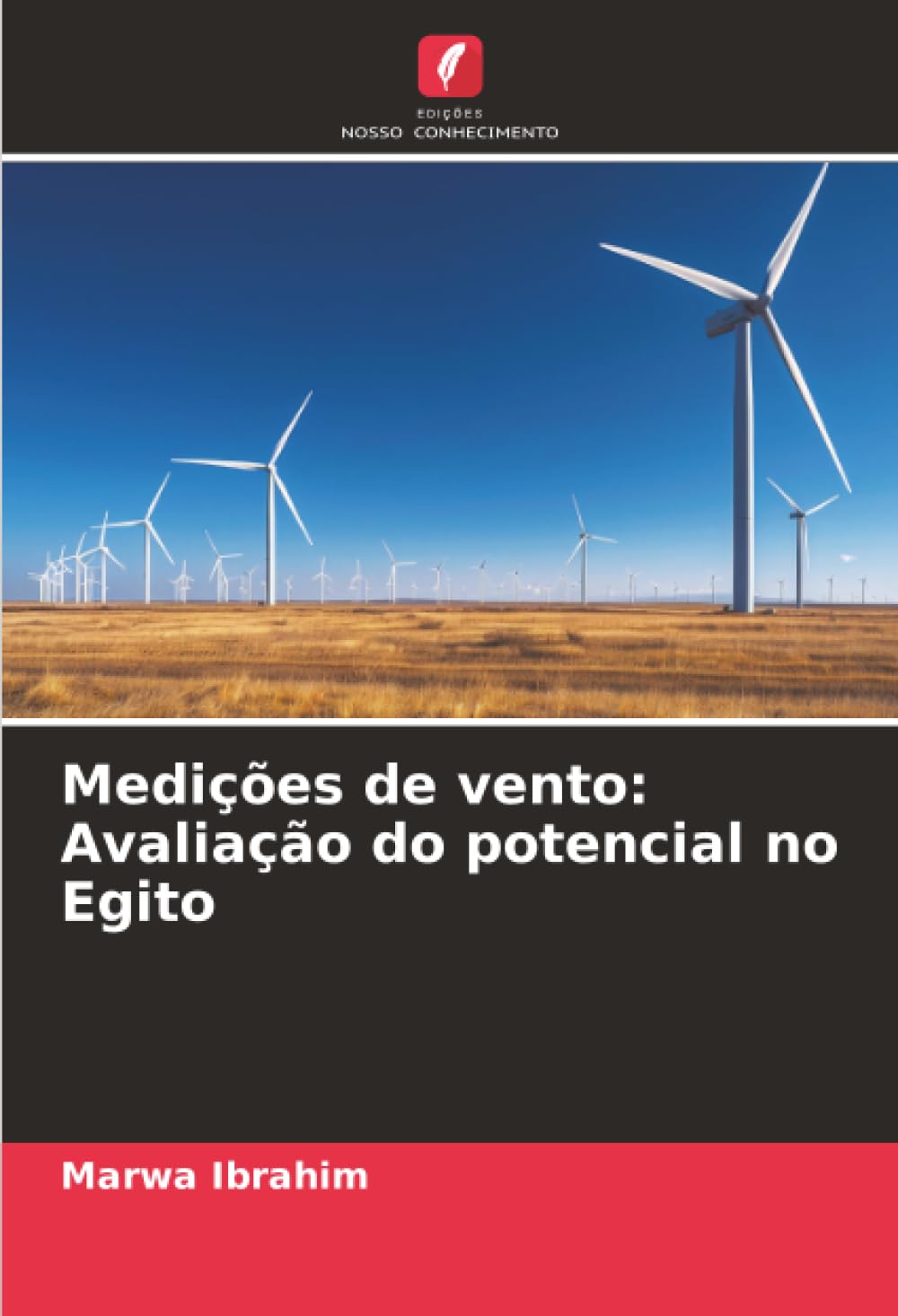 Medições de vento: Avaliação do potencial no Egito