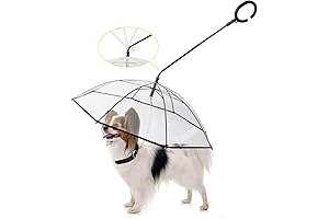 Enjoying Pet Umbrella Leash for Small Dogs