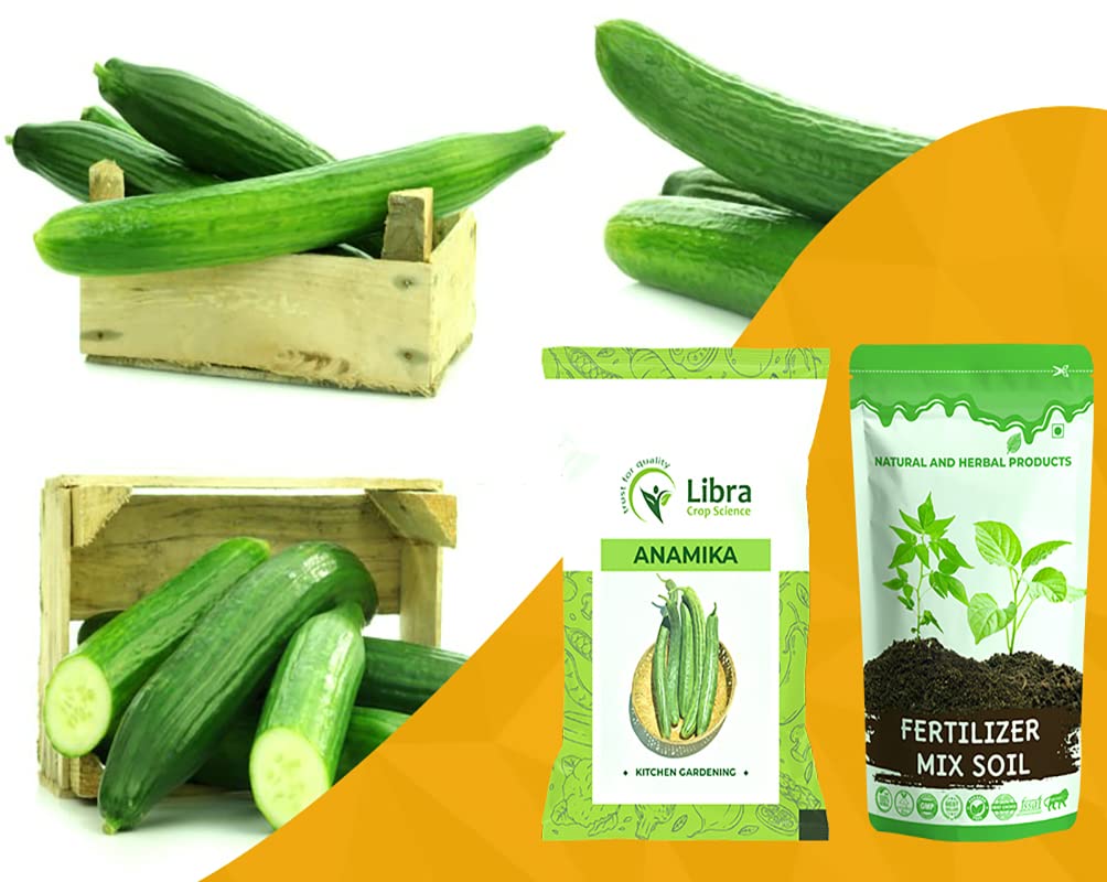 Vegetable Seeds | Cucumber | Farming | Home | Garden | Hybrid | Kitchen | Planting | Terrace | Balcony | Eating | Khira | Kheera | Kakdi | Burpless | Long Melon | Desi Kakri : 315 Seed (B0B2R6BK27) Amazon Price History, Amazon Price Tracker