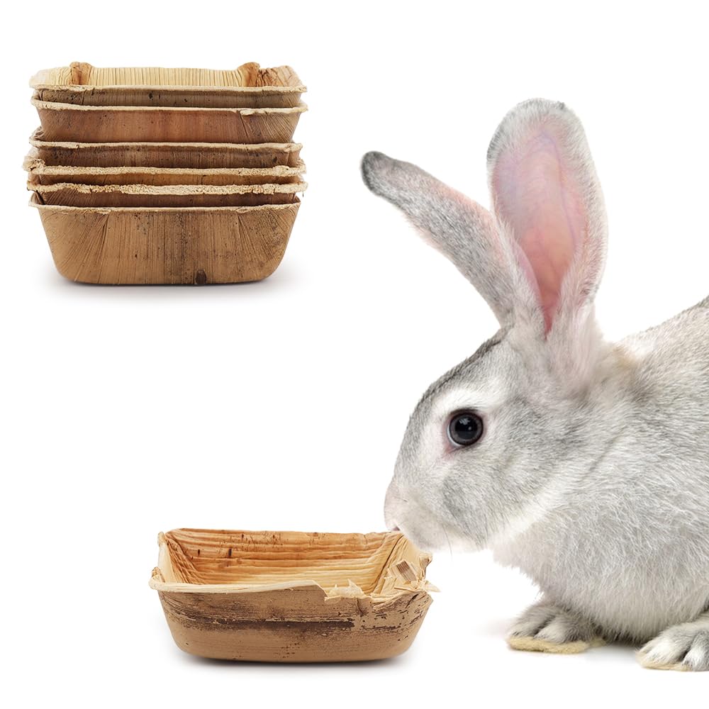 FIDWALL 6-Piece Palm Leaf Bowls for Bunnies,3.5" and 6" Sizes,Natural Rabbit Chew Toys,Best Rabbit Toys Boredom Breaker,Boredom Breakers (3.5 inches*6)