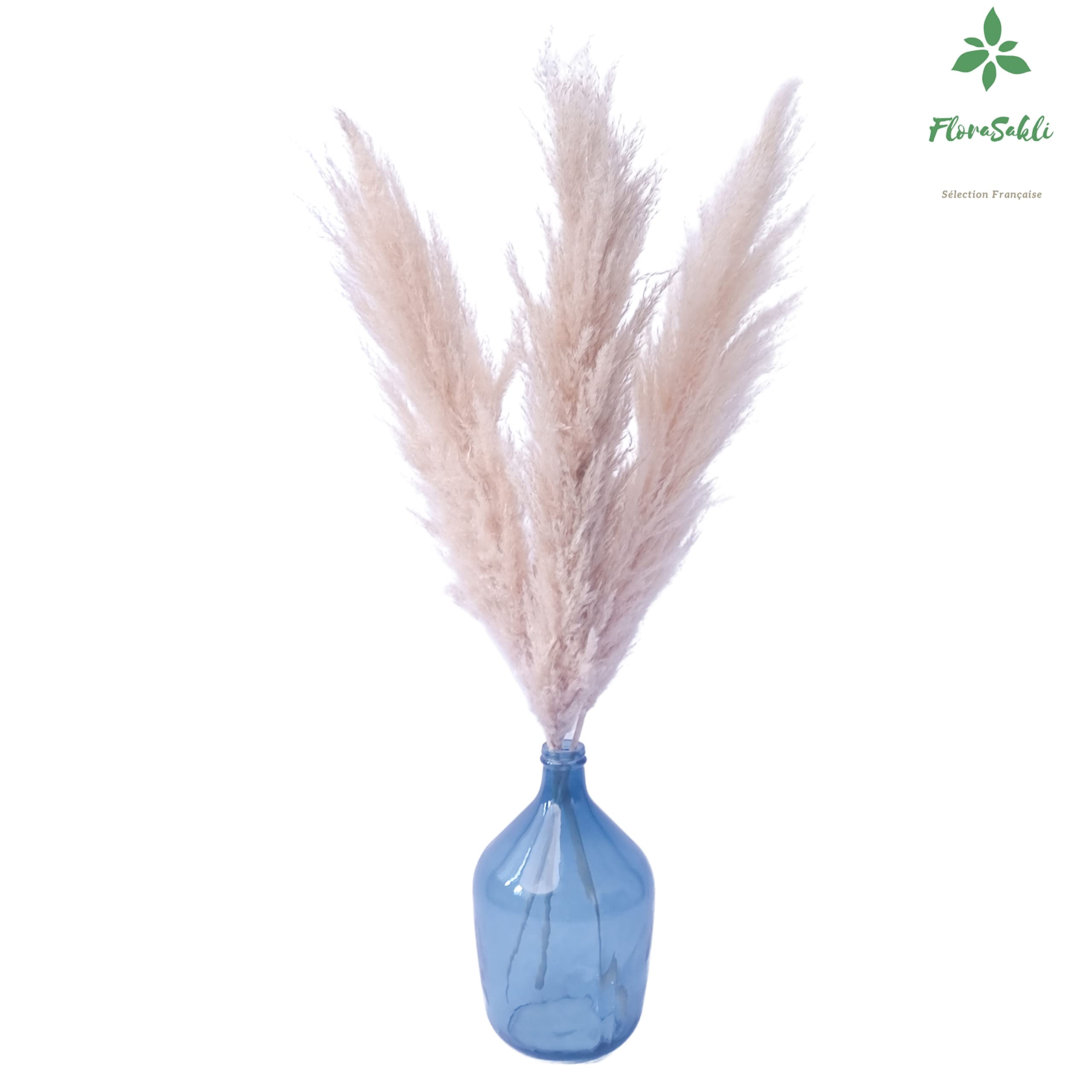 Flores pozos secos naturales de gran tamaño en ramo de 117 cm,3 hierbas de la popa que llenan tu jarrón para mujer, decoración para casa, salón de cocooning bohemio