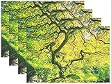 Polyester. DUTRIX Natur Tischsets, grüner japanischer Ahorn Baum Hitzebeständige waschbare Tisch Tischsets für Küche Esstisch Dekoration-Multicolor-1