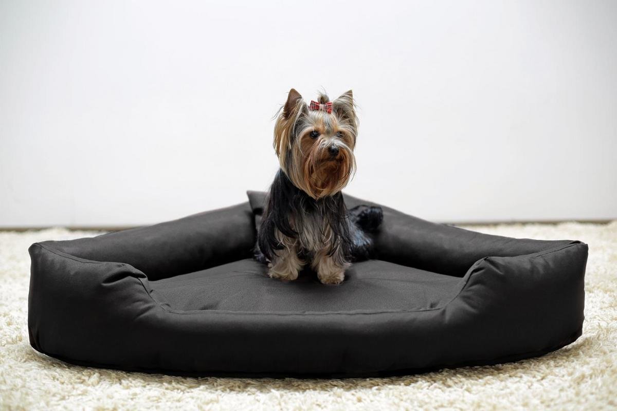 slatters be royal store Reversible Dual Ultra Soft Velvet Black Color Luxury Sofa Bed Pet Bed | Dog Bed | Cat Bed | Puppies Puppy Bed | Rabbit Bed, Medium (B079T9LTFB) Amazon Price History, Amazon Price Tracker