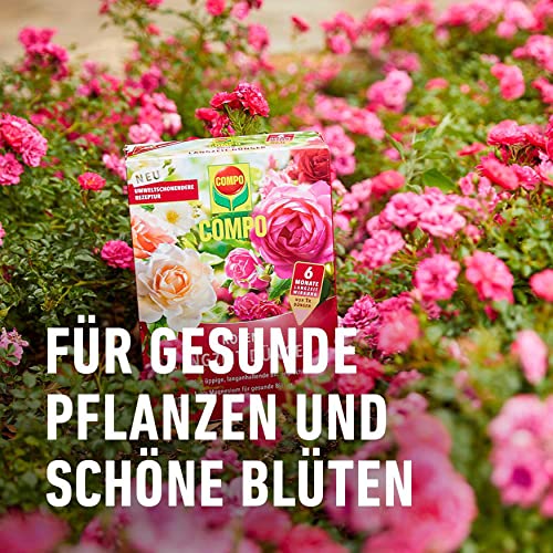COMPO Rosen Langzeit-Dünger 2 kg, 6 Monate Wirkung, Rosendünger – Ansicht 6