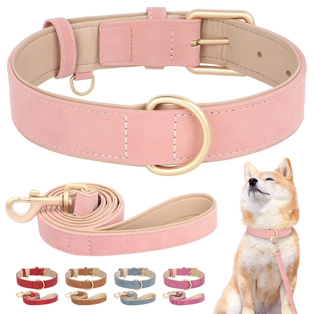 Collier et laisse en cuir pour chien moyen noir M : kit de promenade réglable