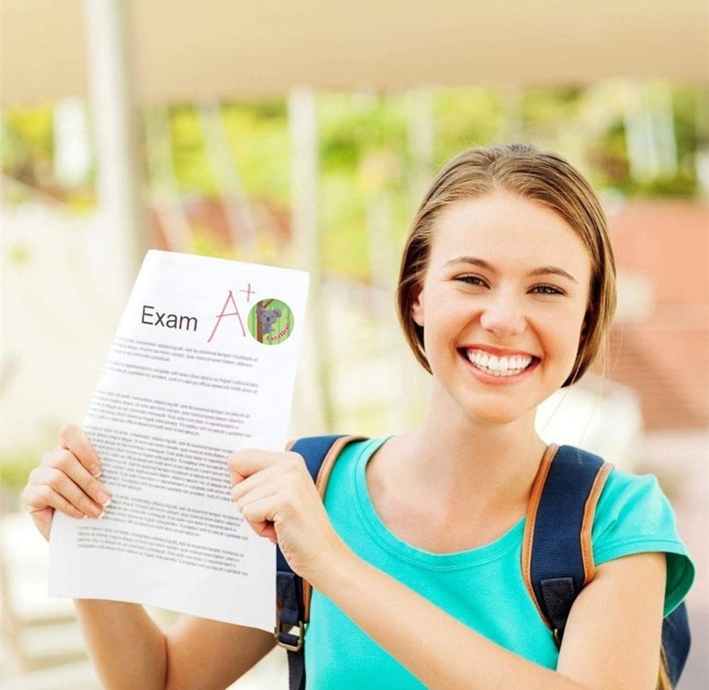 YAFLUG Lot De 3 Rouleaux D'Autocollants Enfant Motivants