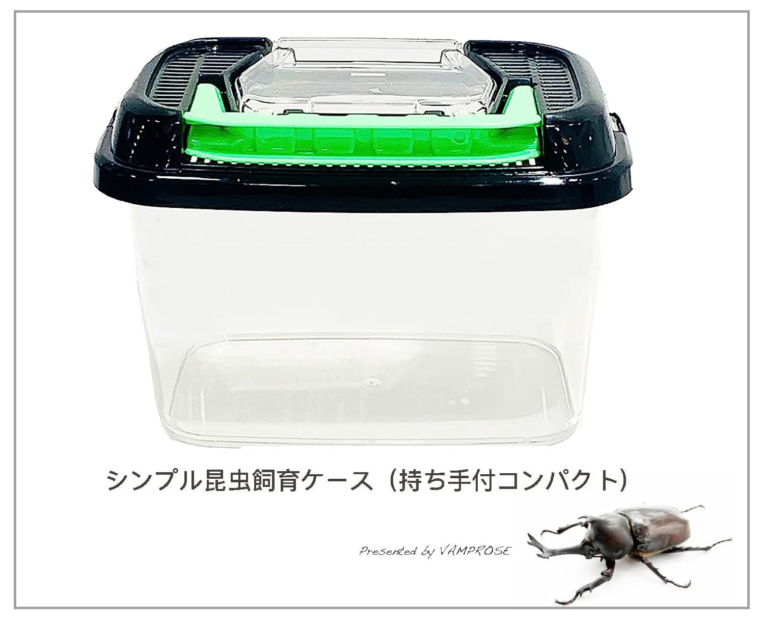 Amazon | カブトムシ＆クワガタ 飼育セット （ 飼育ケース 昆虫マット