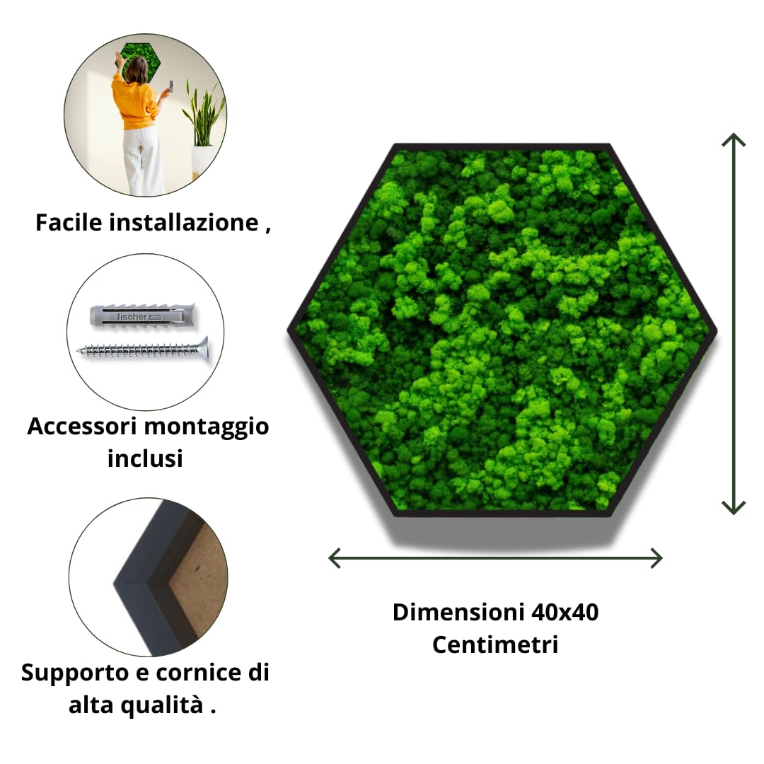 Quadro Esagonale Verde Stabilizzato con Muschio e Licheni Naturali - Decorazione Vegetale di Design per Casa e Ufficio - Senza Manutenzione (Esagonale 40x40 cm., con Cornice)