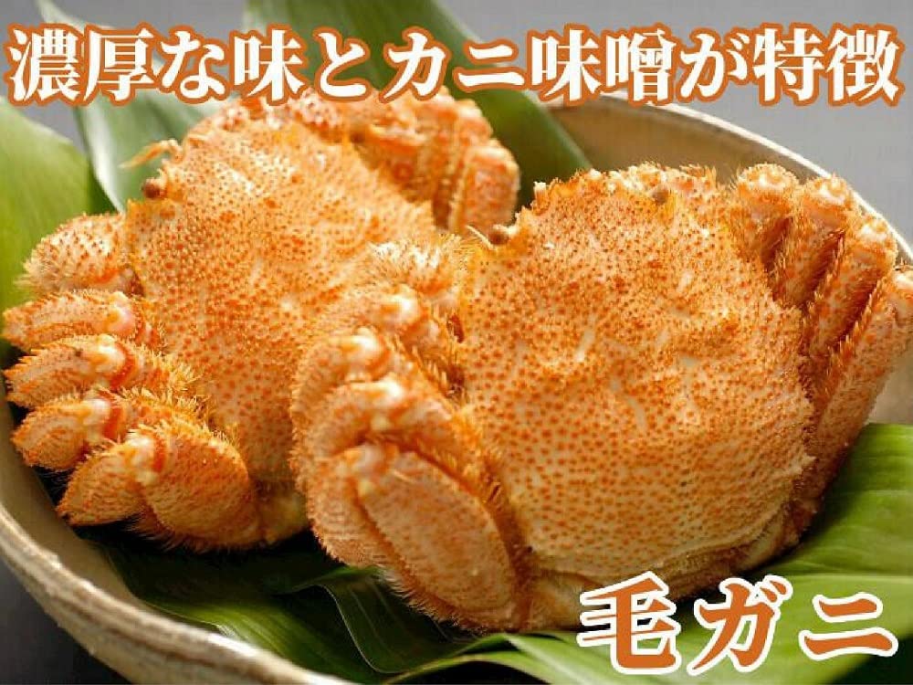 Amazon.co.jp: 毛ガニ 特大 1kg 毛蟹 北海道 1キロ 蟹味噌 ボイル済