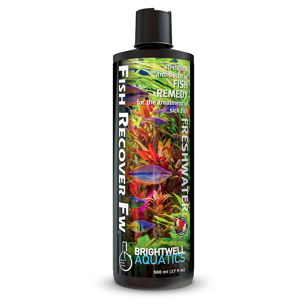 Brightwell Fish Recover FW - All-Natural Fish Remedy for Treating Sick Freshwater Fish, 500 ml