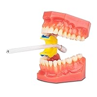Vista 2 de Practicon E-Prop - Soporte dental para boca, bloque de mordida autoclavable, sostiene el eyector de saliva, tamaño mediano, 1 paquete