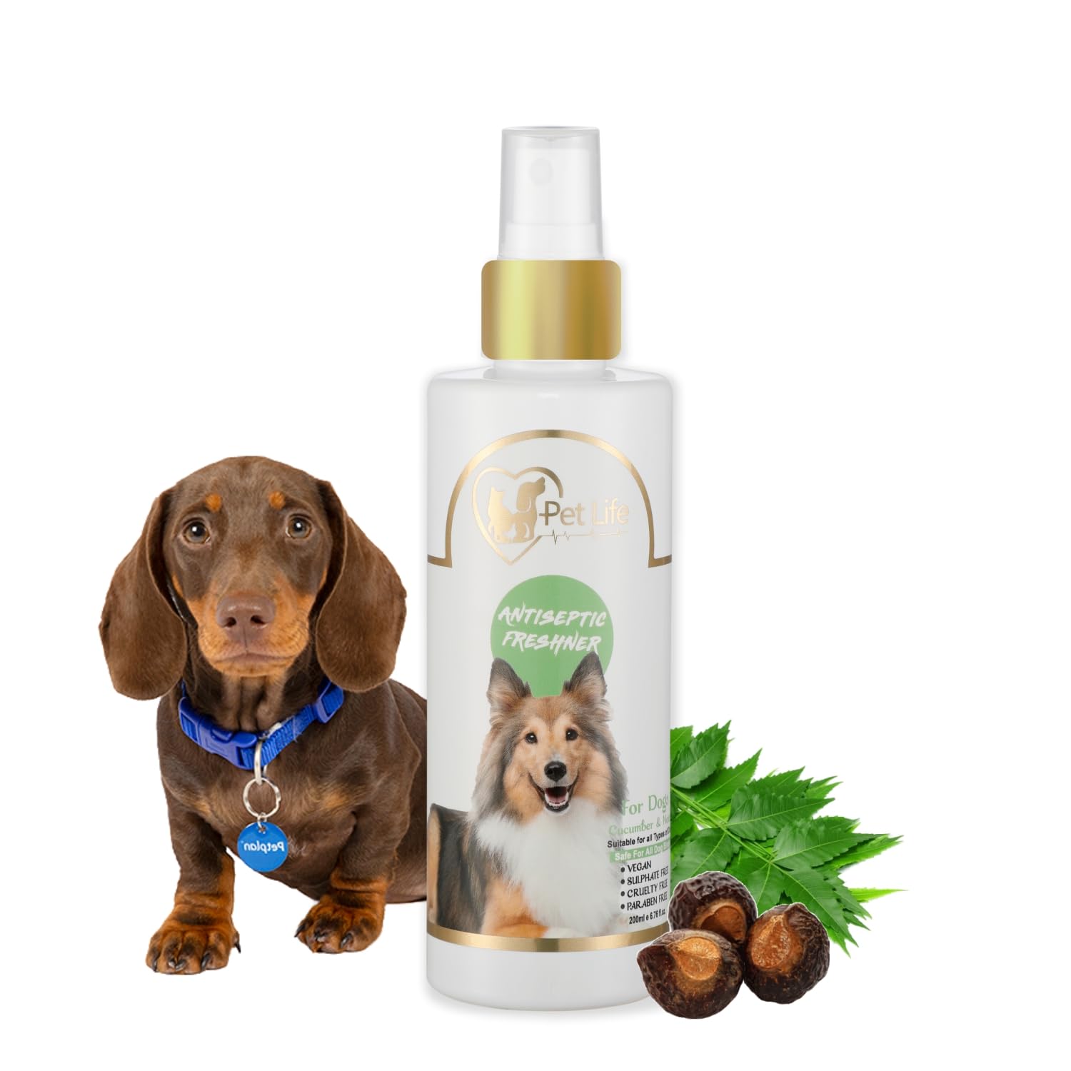 Pet Life Antiseptic Freshener Spray for Dachshund Dog & Puppy | Controls Odour, Keep Dog Coat Smelling Fresh & Daily Use Dog Safe Deodorizer -Pet Friendly Aromatic Deodorant for All Dog Breed- 200Ml (B0B6G46GL3) Amazon Price History, Amazon Price Tracker