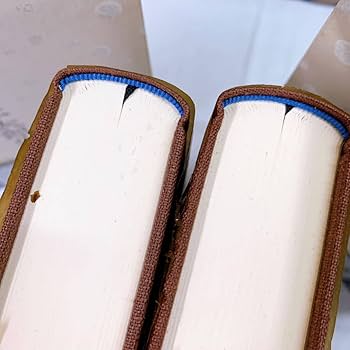 Amazon.co.jp: C4-W5/14 安岡章太郎集 全10巻 岩波書店 : おもちゃ