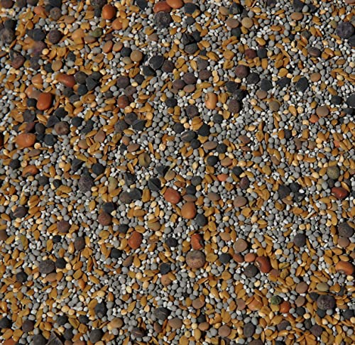 No-Till Cover Crop 13-Seed Mix