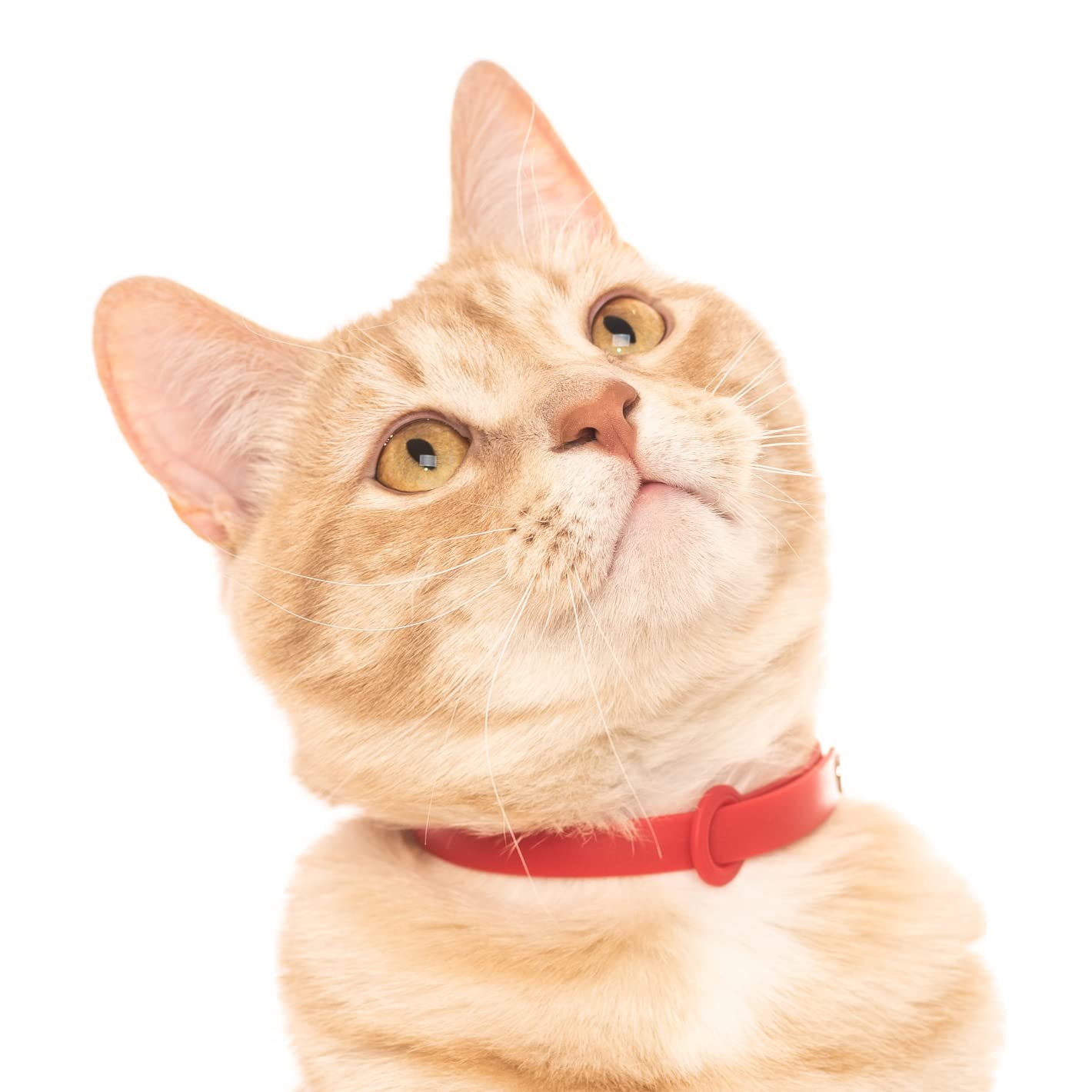 Nuvuq Weiches Katzenhalsband Mit Sicherheitsverschluss | Verstellbar 15-25 Cm, 7 G Leicht | Für Empfindliche Haut & Outdoor-Katzen (Rosa)