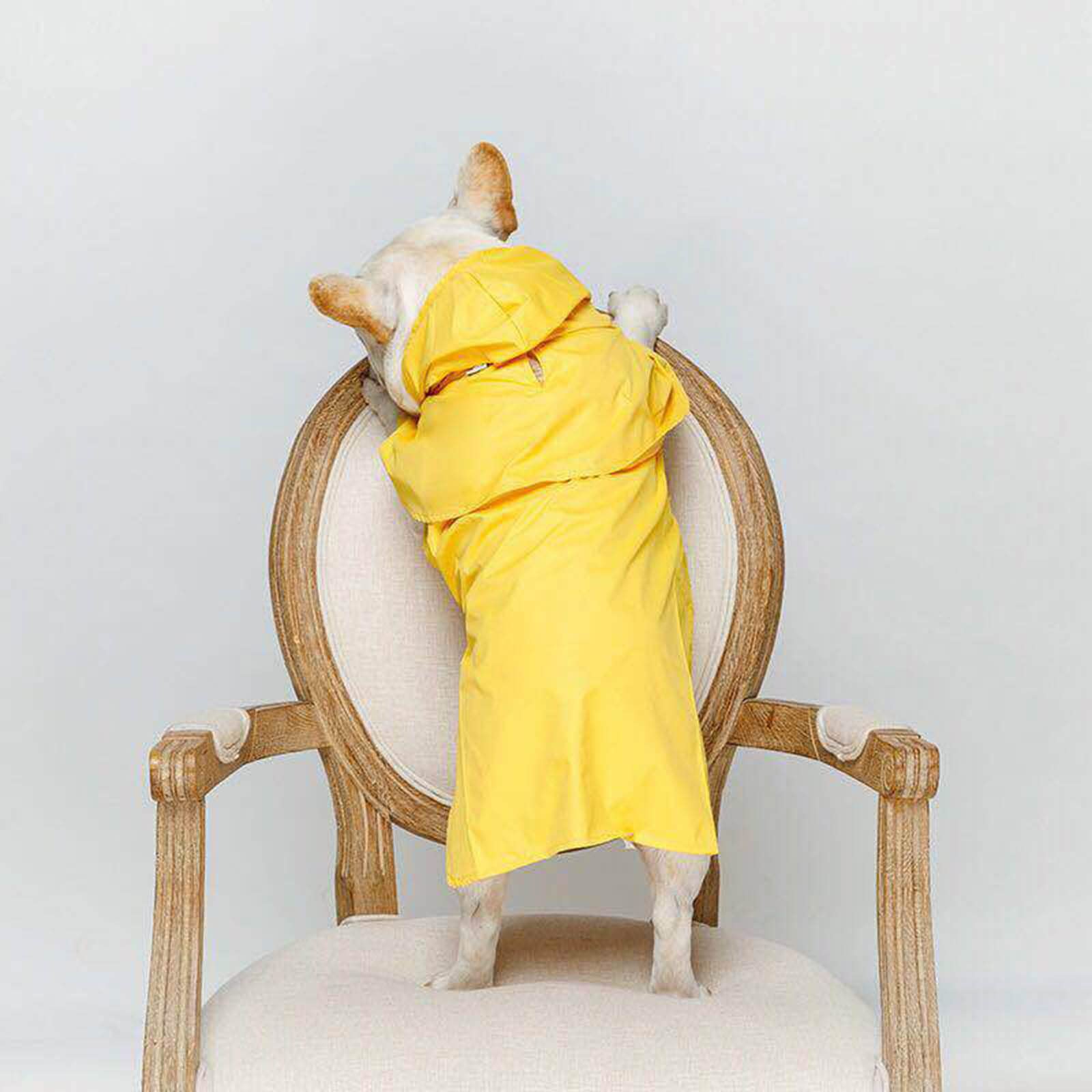 Hund Regenmantel wasserdichte Hundemanteljacke, Hunderegenmäntel, klein, mit Kapuze, Haustier-Regenumhang mit Kapuze, langlebig, regenfest