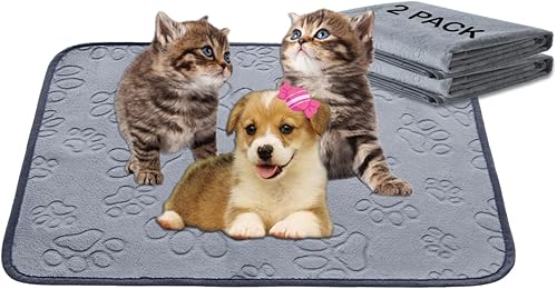 Qeils Almohadillas lavables para cachorros, almohadillas reutilizables para orina (paquete de 2) de 18 x 24 pulgadas, absorbente, a prueba de fugas,