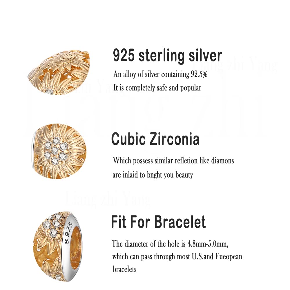 HappyStar Charmsy ze srebra wysokiej próby 925, z motywem Gwiezdnych Wojen, Harry’ego Pottera, pasują do bransoletek Pandora Charms, dla kobiet, dziewcząt, biżuteria na prezent