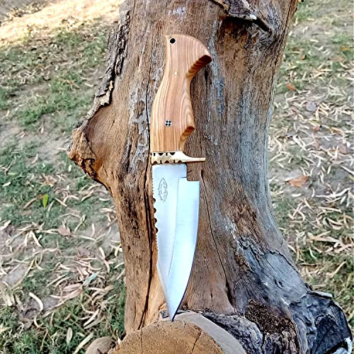 Handmade 420C Stainless Steel 10 Inch Olive Wooden Handel Fixed Blade Hunting Bowie Knife Best For Outdoor & Indoor Camping Hunting Fixed Blade Knife #TOP19