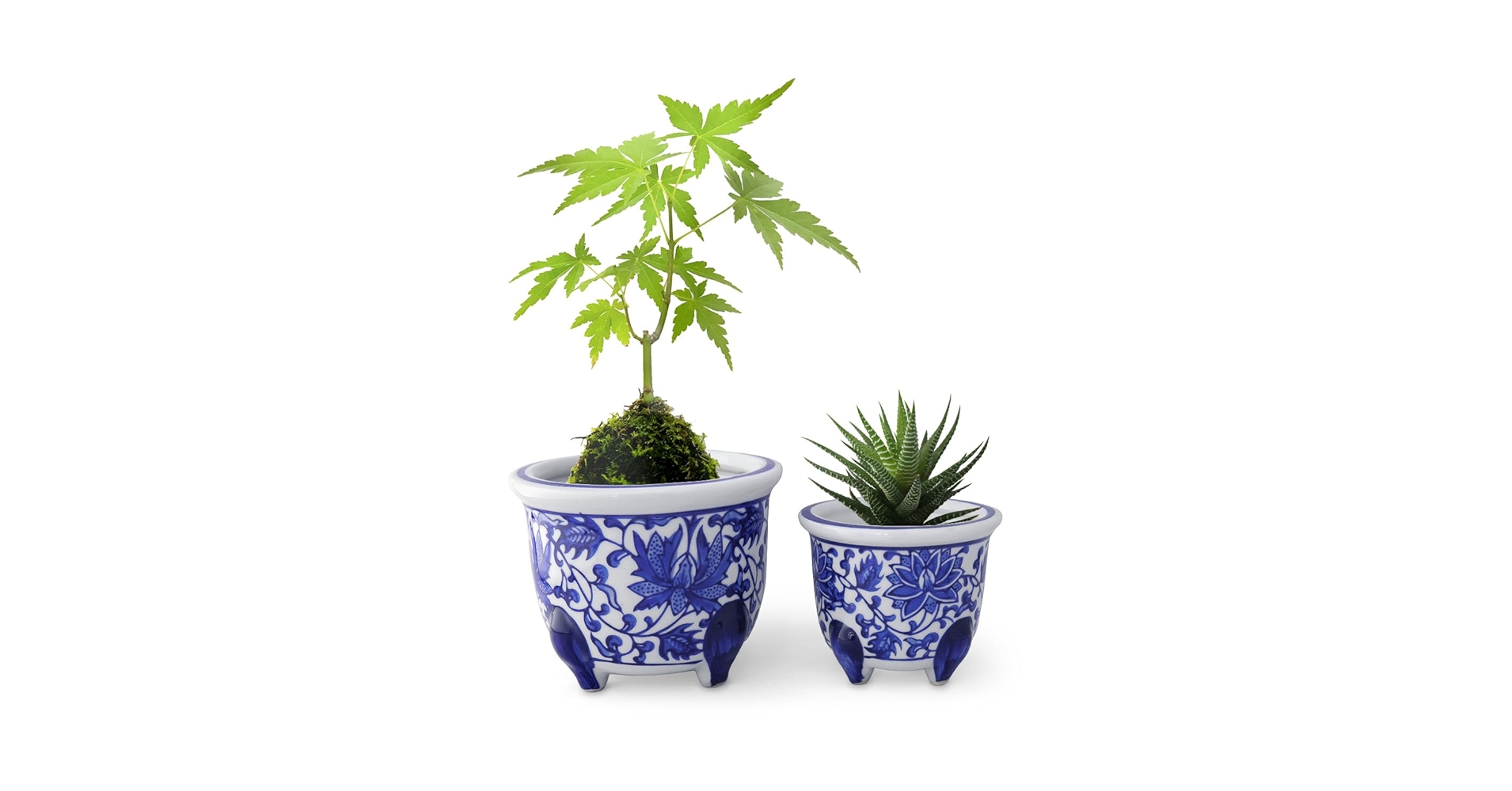 61nfBER4YuL.jpg_BO30,255,255,