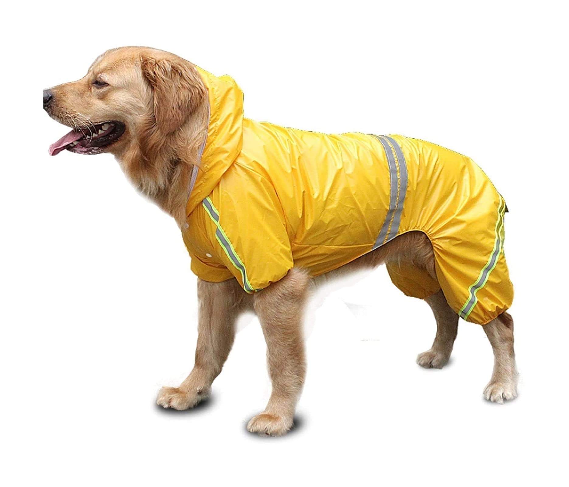 Poncho à capuchon pour chiens imperméable idéal pour balades sous la pluie