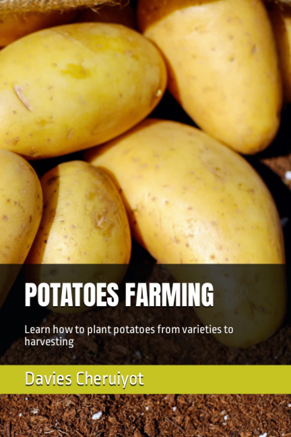 POTATOES FARMING: Learn how to plant potatoes from varieties to harvesting