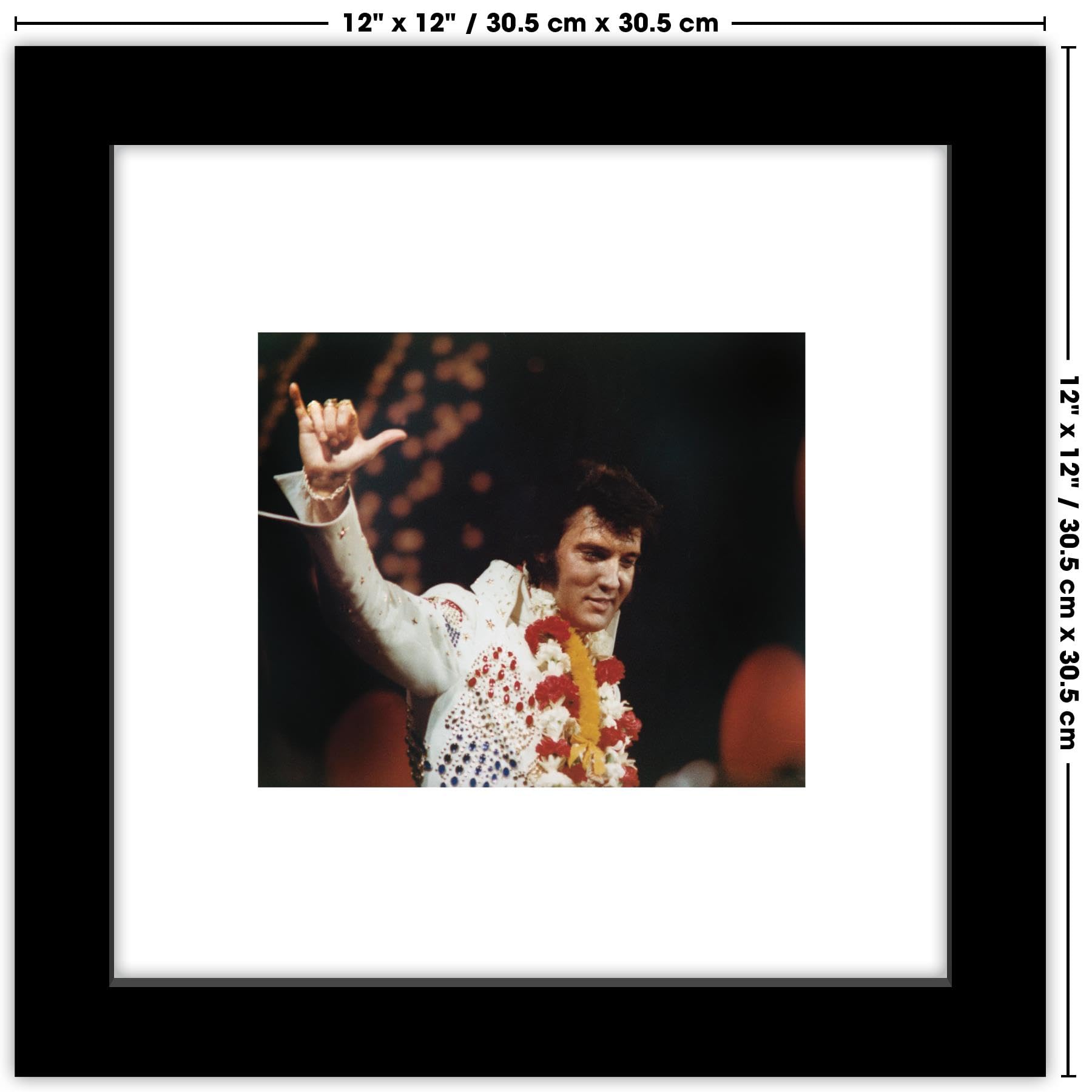 Amazon.com: Trends International Gallery Pops Elvis Presley - Hang
