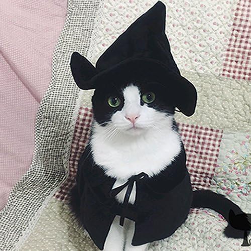 Cute Hooded Cloak Witch / Wizard Costume for Small Dogs & Cat Kitten, Cat Costume, Black - Image 3