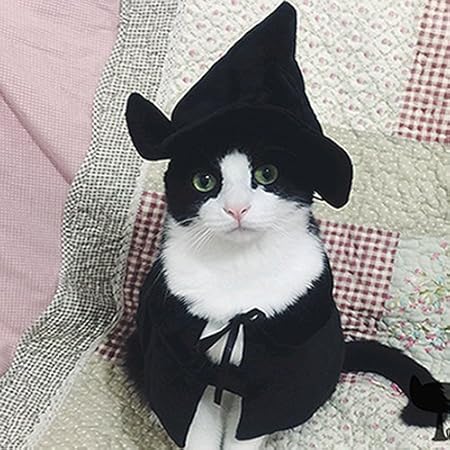 witch cat costume