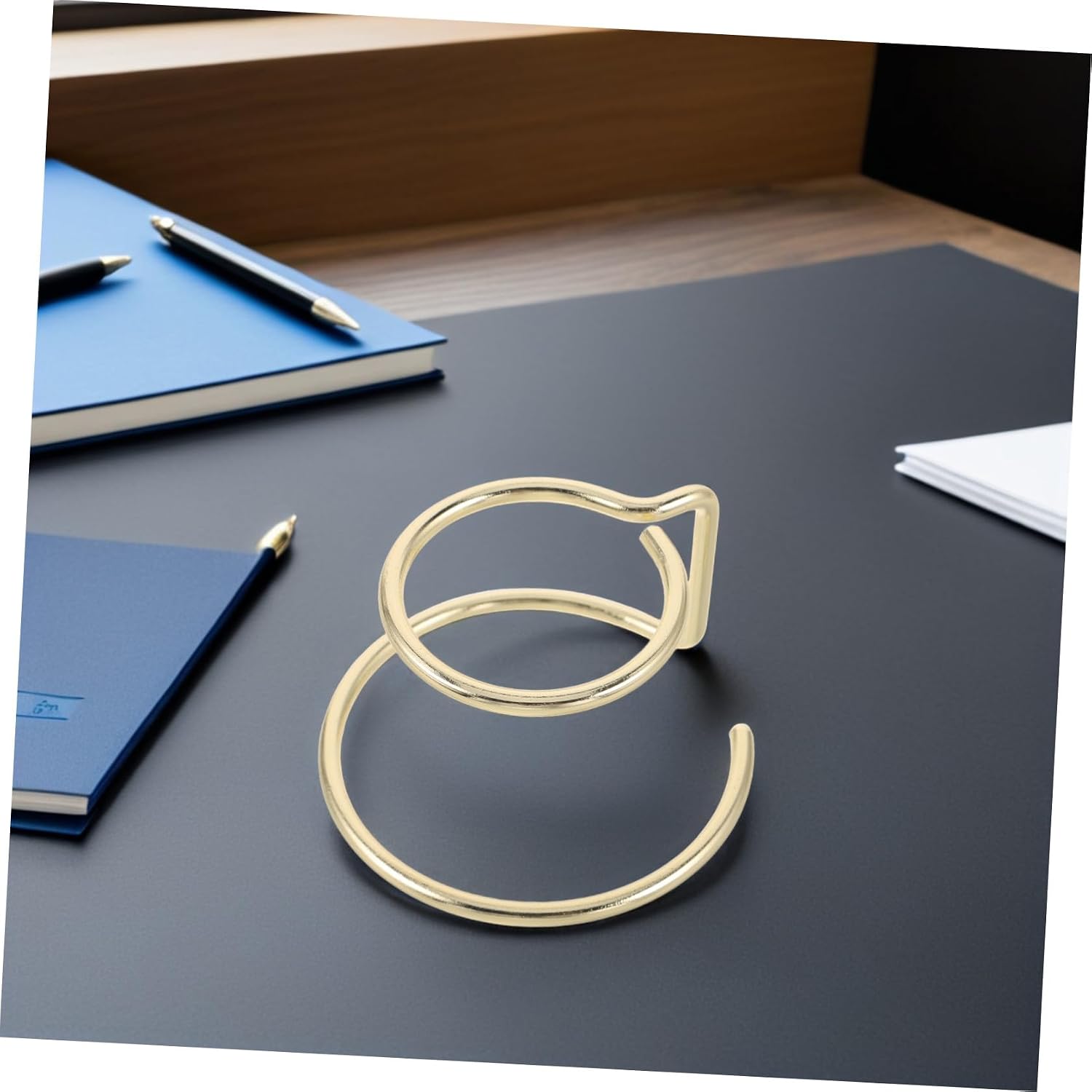 2pcs Metal Glass Globe Holder Stand with Double Ring Frame