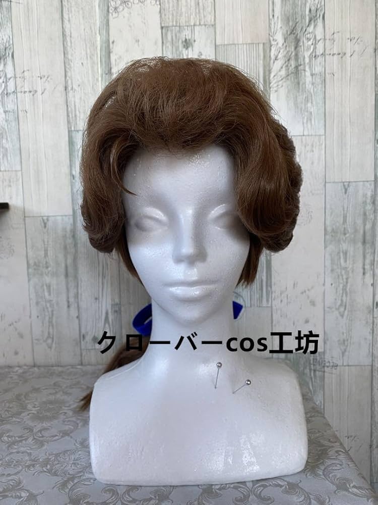 アダム王子 mocchiriページ ⸜❤︎⸝‍ Dハロ仮装 ウィッグ