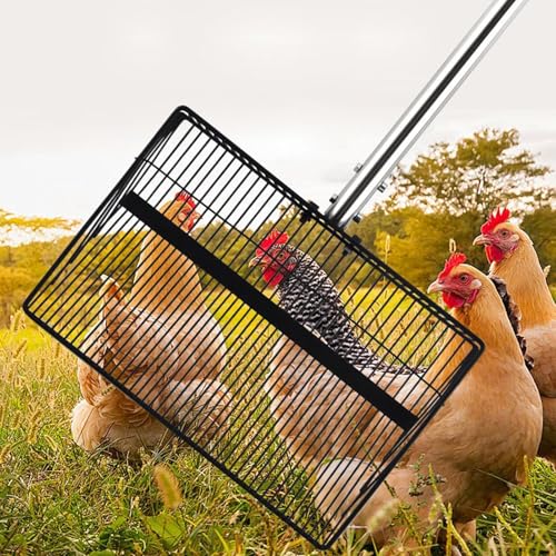 Pelle à poulet robuste en acier inoxydable pour litière de volaille - 4