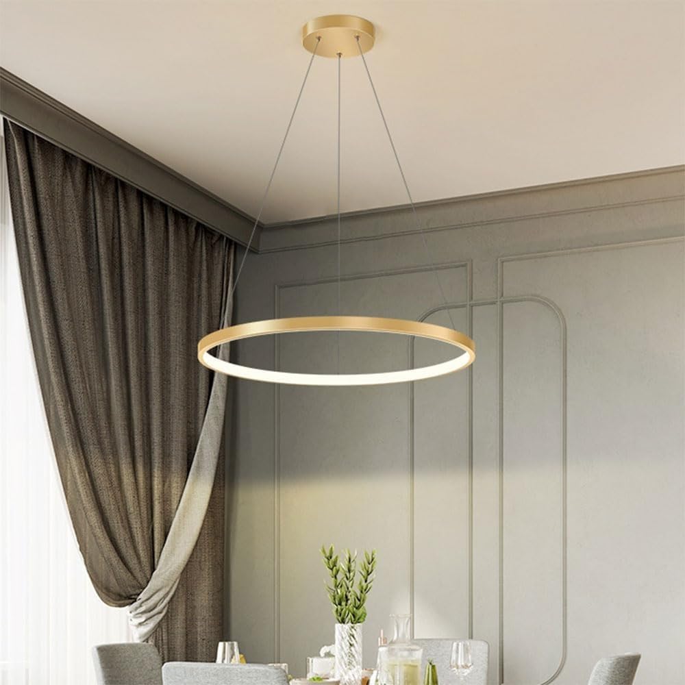 Éclairage d'intérieur à LED suspendu circulaire en fer moderne de 50 cm pour salle à manger