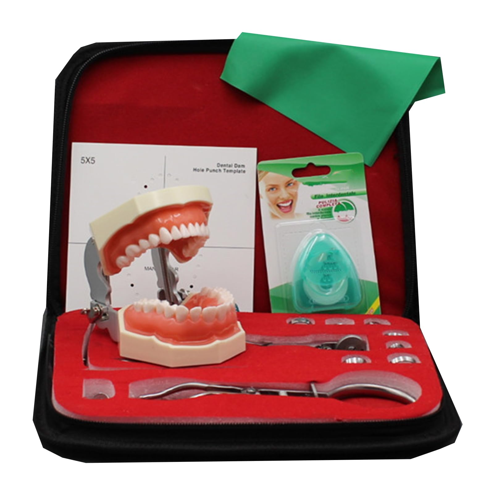 Kit diga in Gomma endodontica Dentale - Set di Strumenti per la Pratica della Scheda di punzonatura della diga in Gomma - per l'educazione scientifica all'esame Orale Dentale,B,25cm