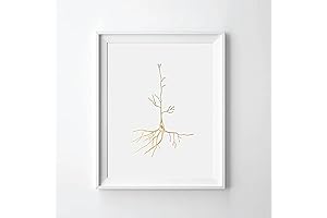 Gold Foil Art Print 8x10: Neuron I Gold Print Nerve Cell Biology...