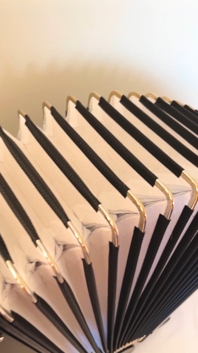 Amazon.com: Bayan Accordion New Weltmeister Romance 602 Button