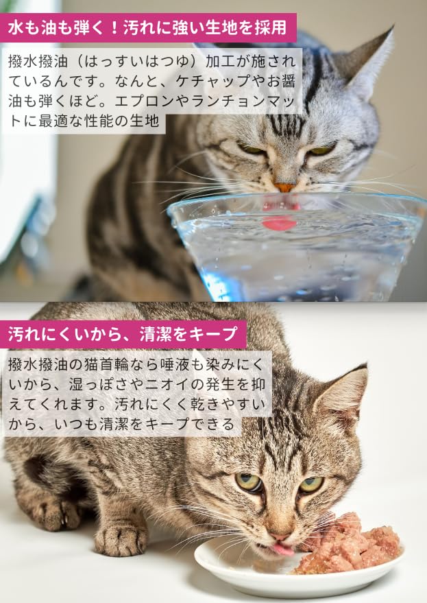 Amazon.co.jp: ぽぽねこ
