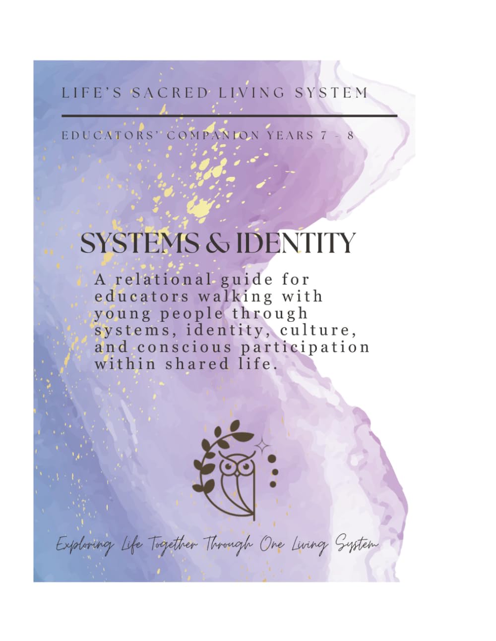 Systems and Identity: A Relational Guide for Educators Walking with Young People Through Systems, Identity, Culture, and Conscious Participation Within Shared Life (Educators Companion)
