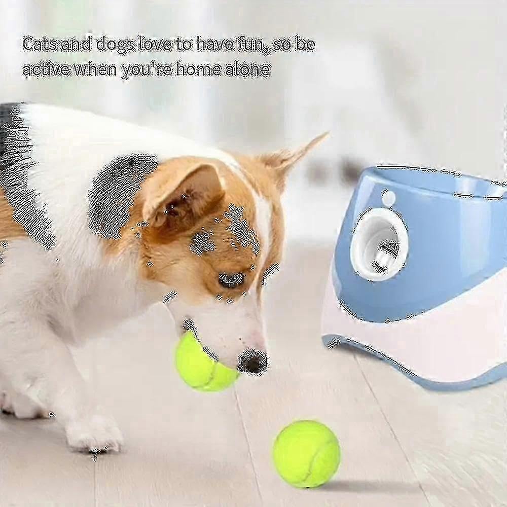 Lanceur de balles automatique pour chien avec 3/6/9 balles durable pour chiens de petite et moyenne taille