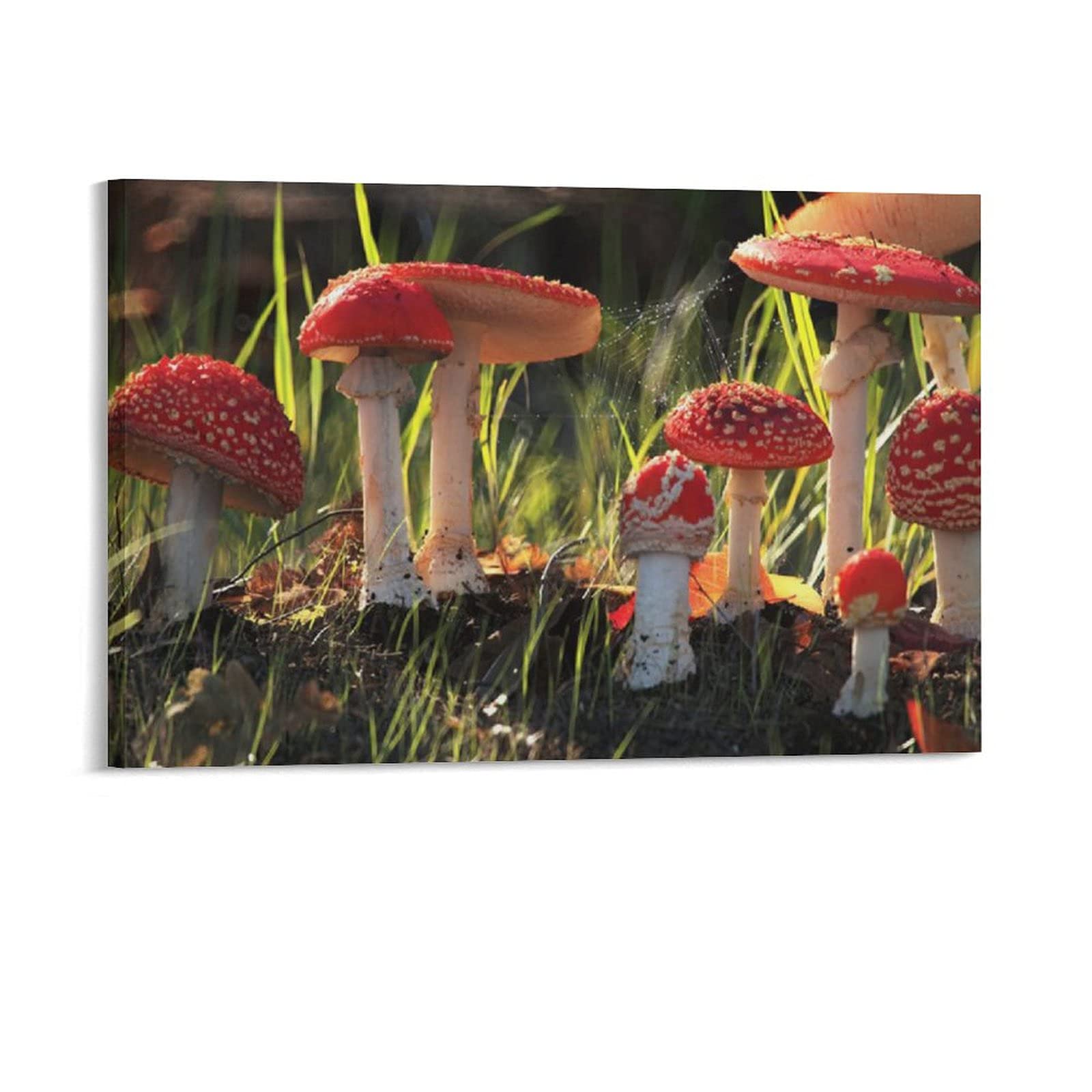 WAWSN Natural Forest Mushroom Plant Print Edible Mushroom Abstract Art Aesthetics715 Canvas Poster Wall Art Decor Print Picture Paintings for Living Room Bedroom Decoration 20×30inch(50×75cm)