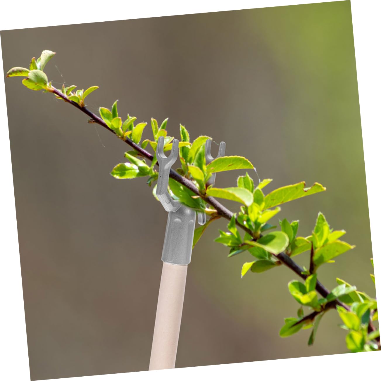 BESPORTBLE 60stücke Teiliges Baumzweigstützen Aus Gartenstützen Für Obstbäume Pflanzensupports Zur Stabilisierung Von Zweigen Vielseitig Einsetzbar Für Obstgärten Und Ziergärten