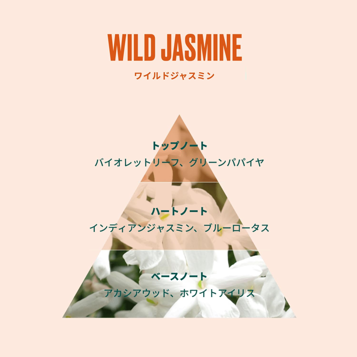 ハローキティ☆様。 ザボディショップ　ジャスミン　フレグランスミスト ワイルド ジャスミン フレグランスミスト｜ THE BODY SHOP（ザ