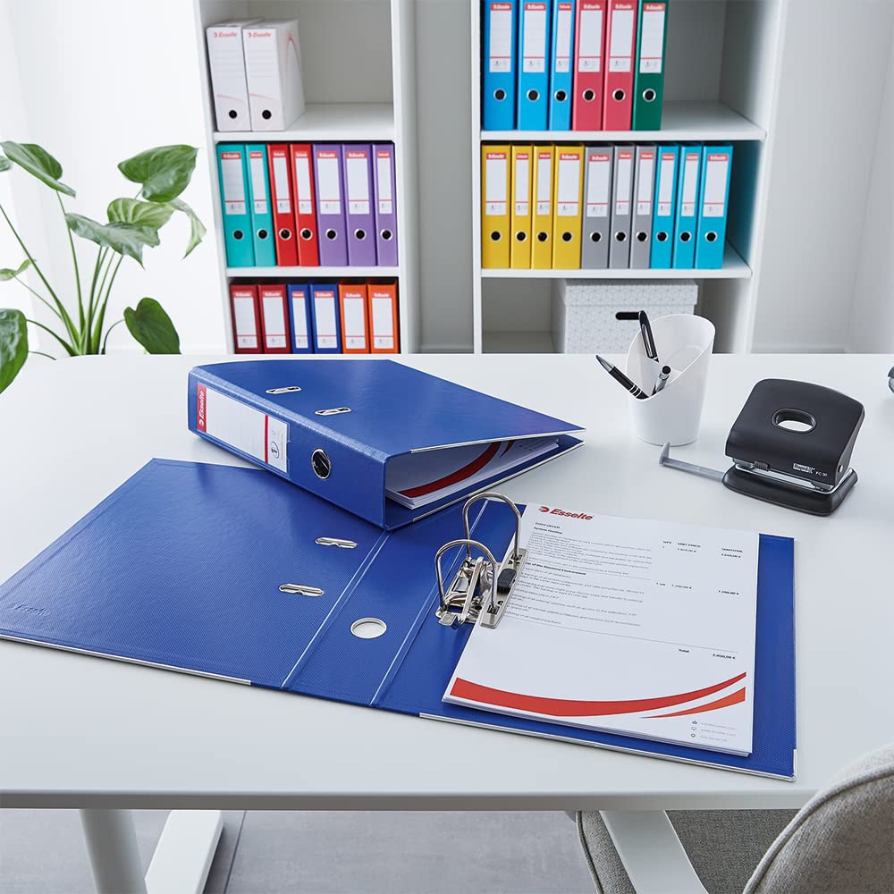 Image secondaire de Classeur à levier A4 Esselte Vivida Bleu Clair - 75 mm - Lot de 1