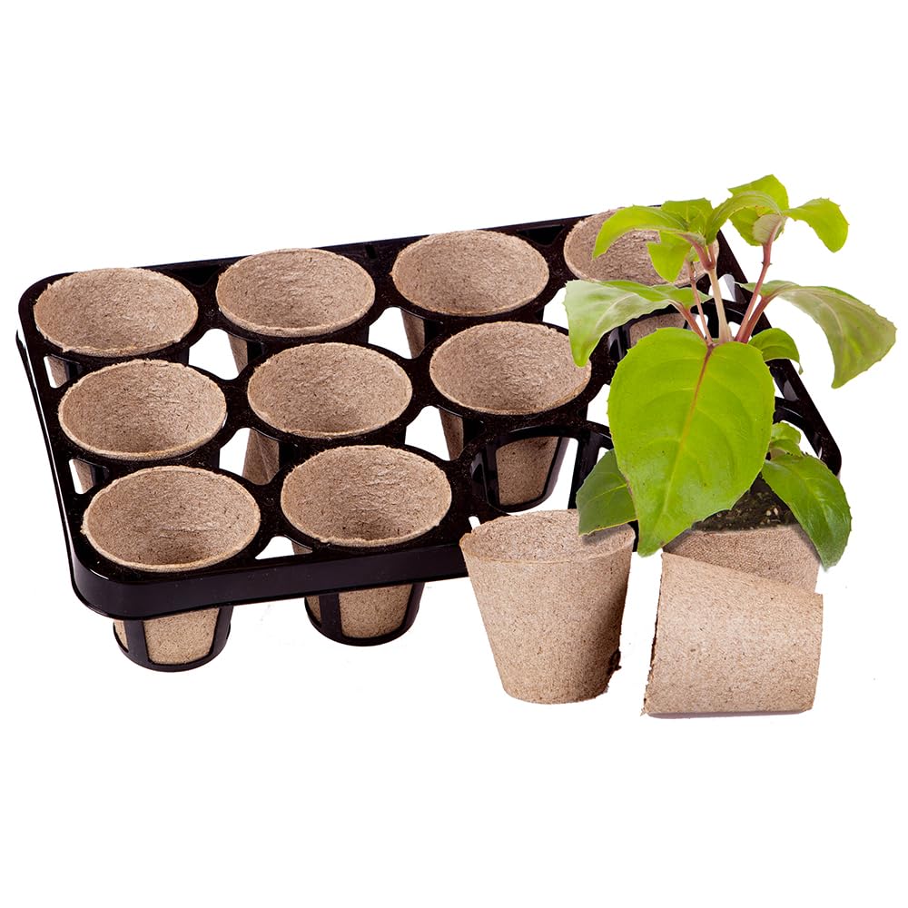 YouGarden Skelly Tray x 3 and 36 Jiffy Bio Pots, Ready to Use Planting, Grow More Compact Plants, Zero Transport Delay