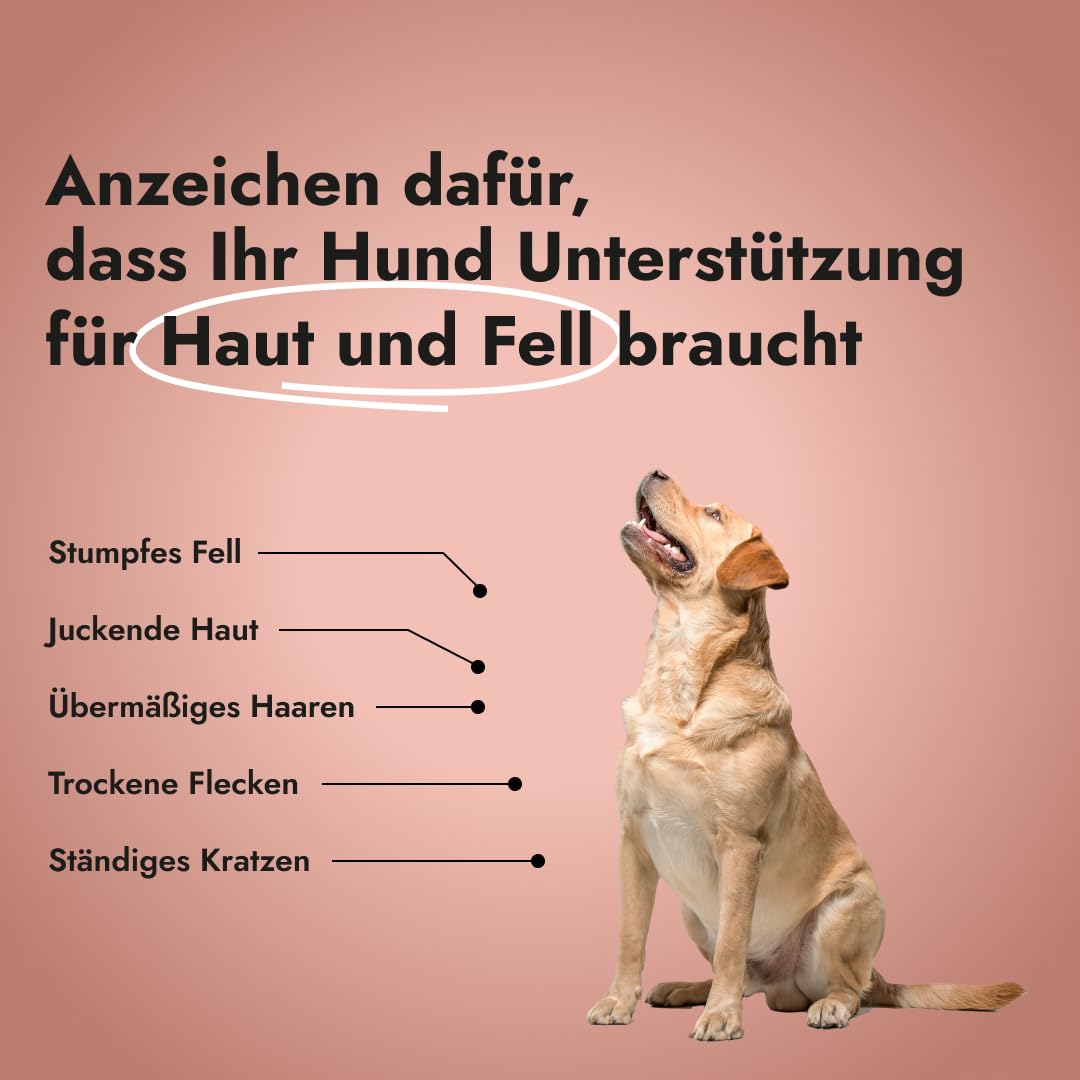 Super Skin & Coat – Natürliches Supplement für Hunde mit Fischkollagen, Leinsamen & Fischöl – unterstützt Haut, Fell, Regeneration & reduziert Entzündungen (100 g (3er Pack))